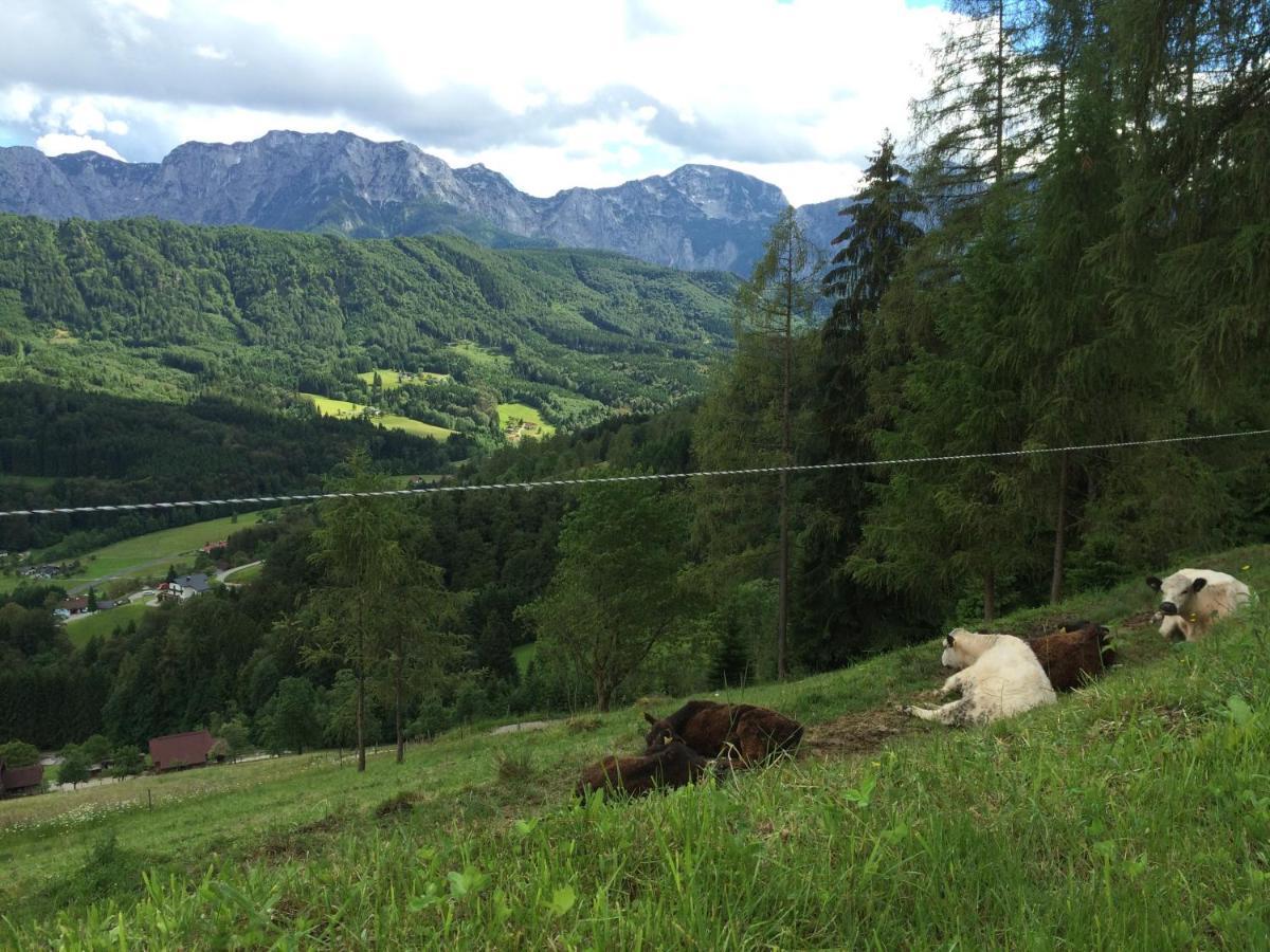 Kreitalm - Kraftplatz Im Salzkammergut Neukirchen  Eksteriør billede