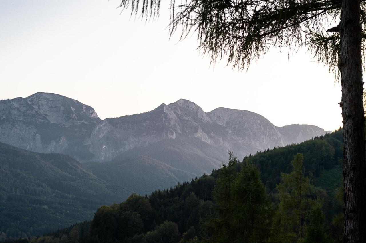 Kreitalm - Kraftplatz Im Salzkammergut Neukirchen  Eksteriør billede